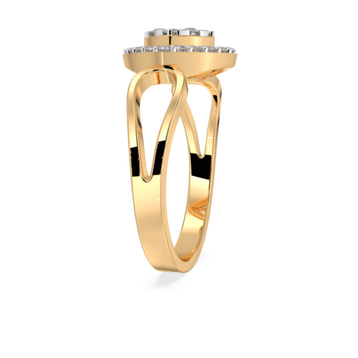 The Zivya Ring