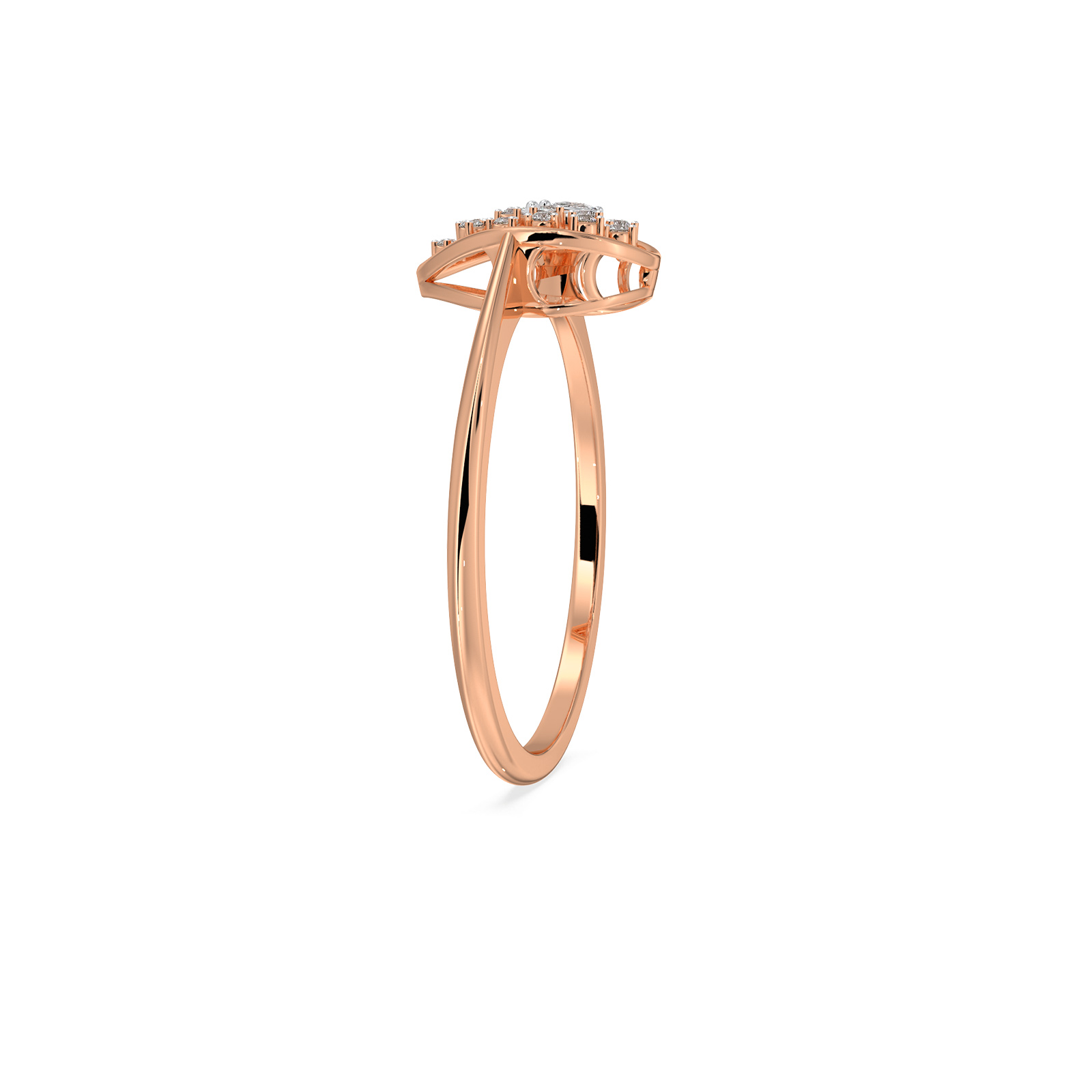 The Avnika Ring