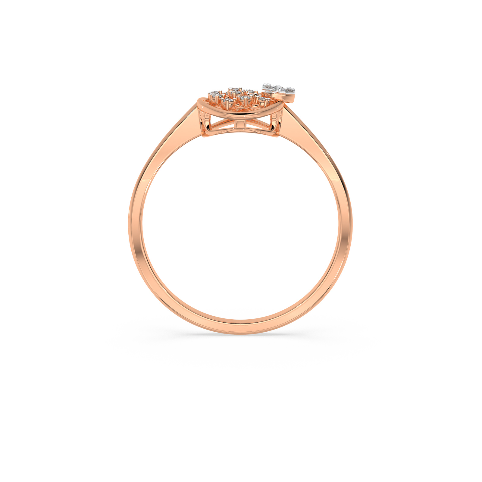 The Avnika Ring