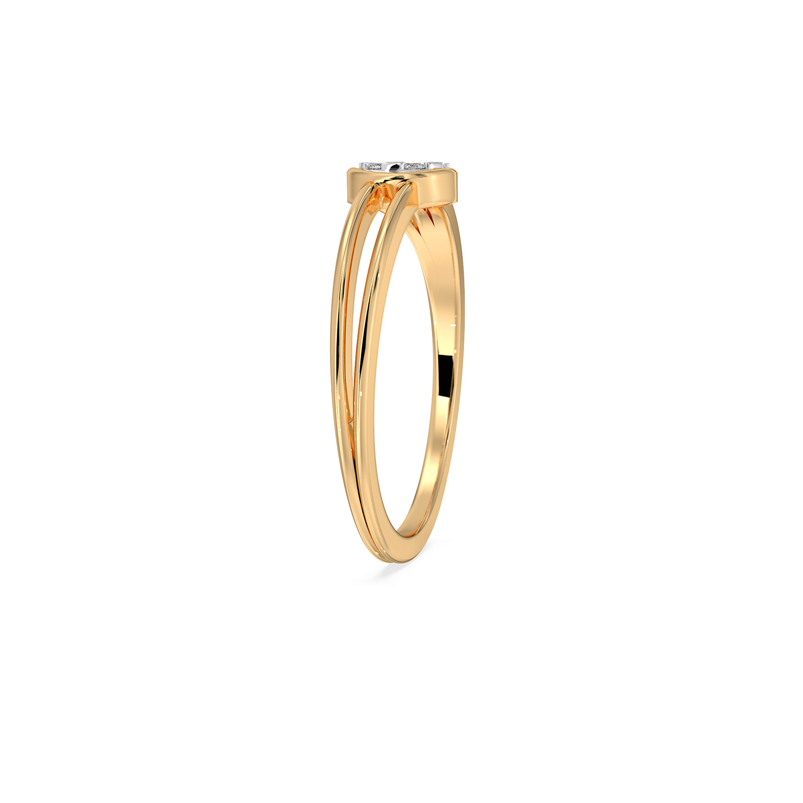 The Avyika Ring