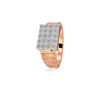 The Pravansh Ring