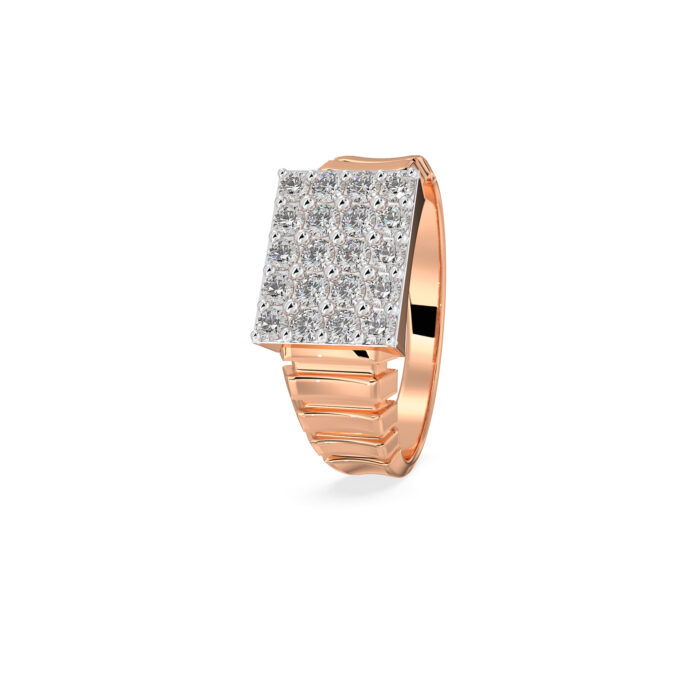 The Pravansh Ring
