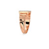 The Pravansh Ring