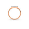The Pravansh Ring