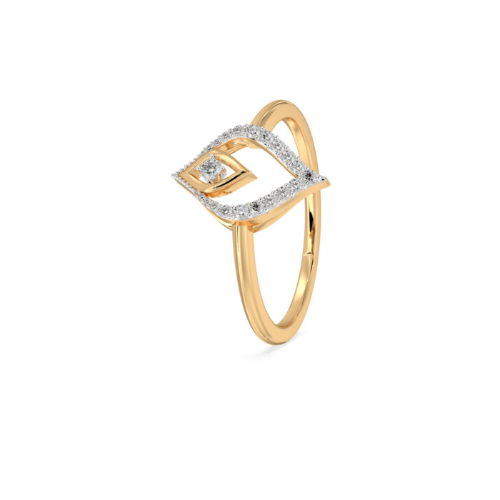 The Aaryashree Ring