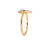 The Aaryashree Ring