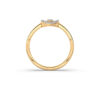 The Aaryashree Ring