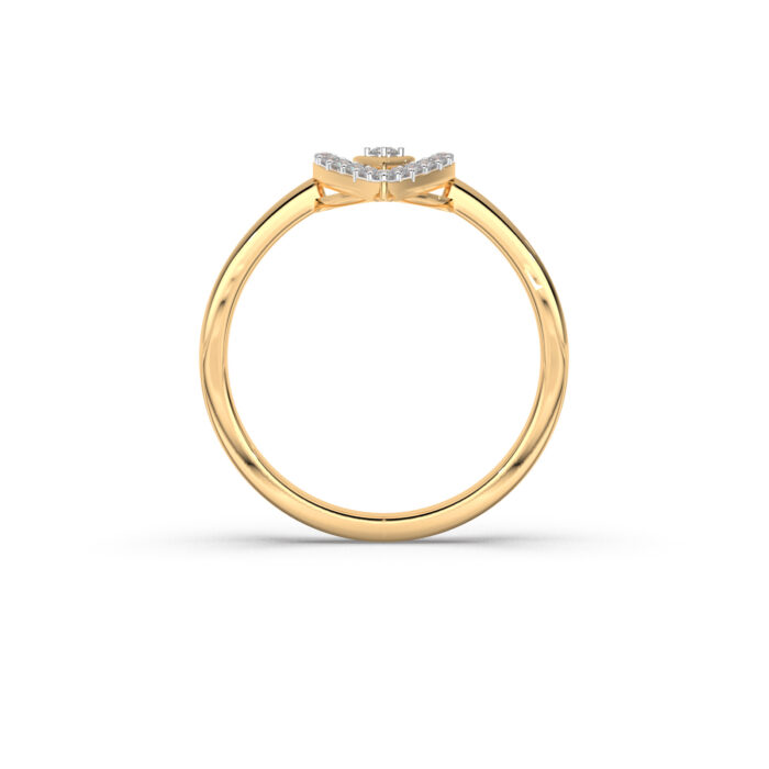 The Aaryashree Ring
