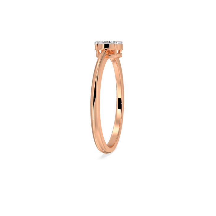 The Anvika Ring