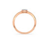 The Anvika Ring