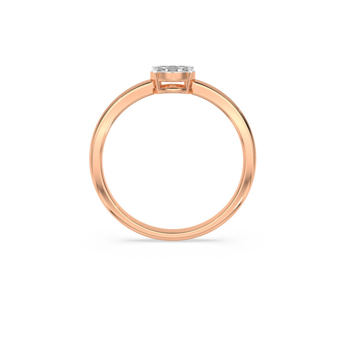 The Anvika Ring