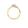 The Ruhika Ring