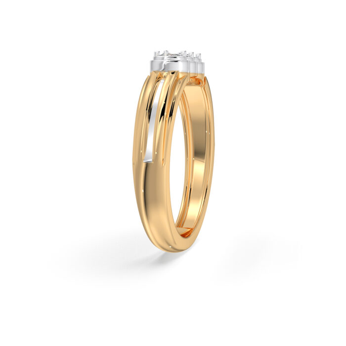 The Shivvaar Ring