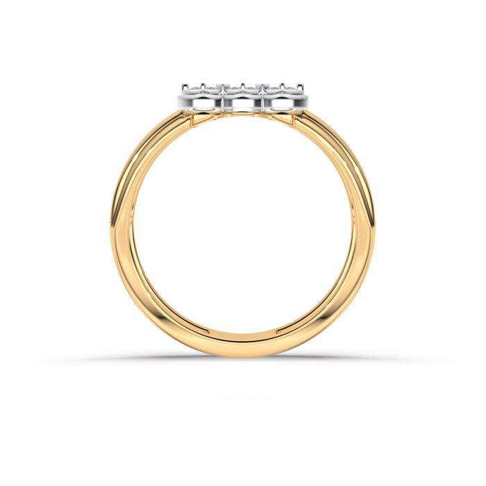 The Shivvaar Ring
