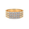 The Shourik Ring