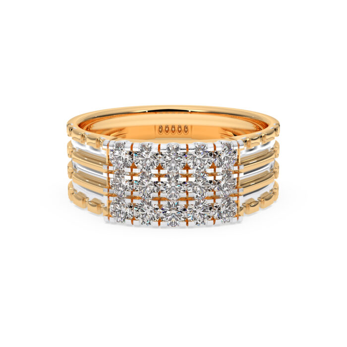 The Shourik Ring