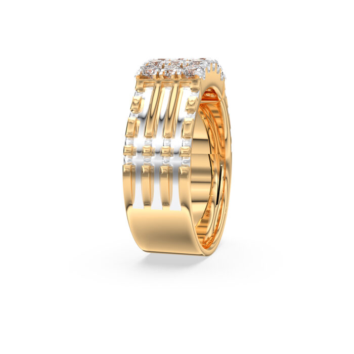 The Shourik Ring