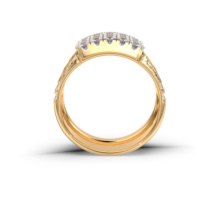 The Shourik Ring