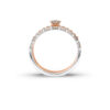 The Ishvi Ring