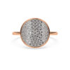 The Inaya Ring