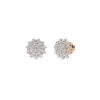 The Oryaa Earring
