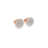 The Oryaa Earring