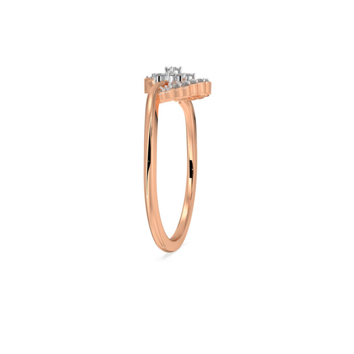 The Yuvrani Ring Ring