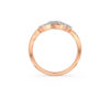 The Raasa Ring