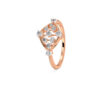 The Jivika Ring Ring