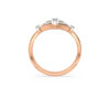 The Jivika Ring Ring