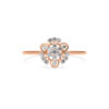 The Avni Ring