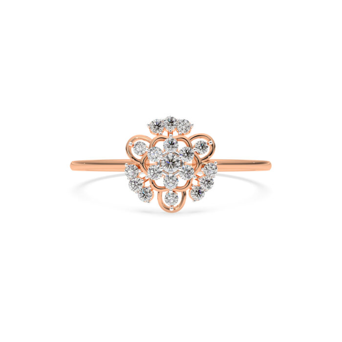 The Avni Ring