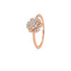 The Avni Ring
