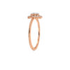The Avni Ring
