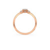 The Avni Ring