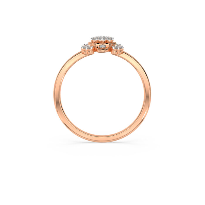 The Avni Ring