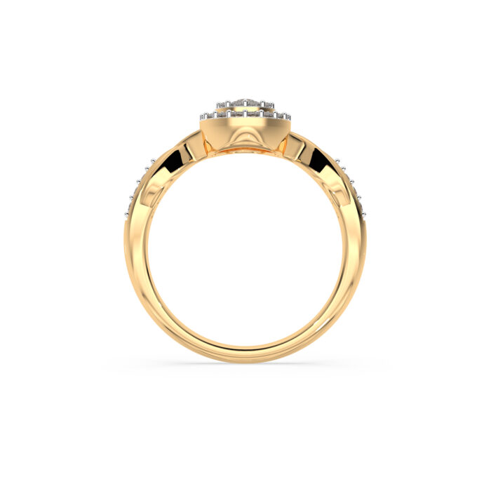 The Zenvia Ring