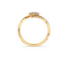 The Nyzelle Ring