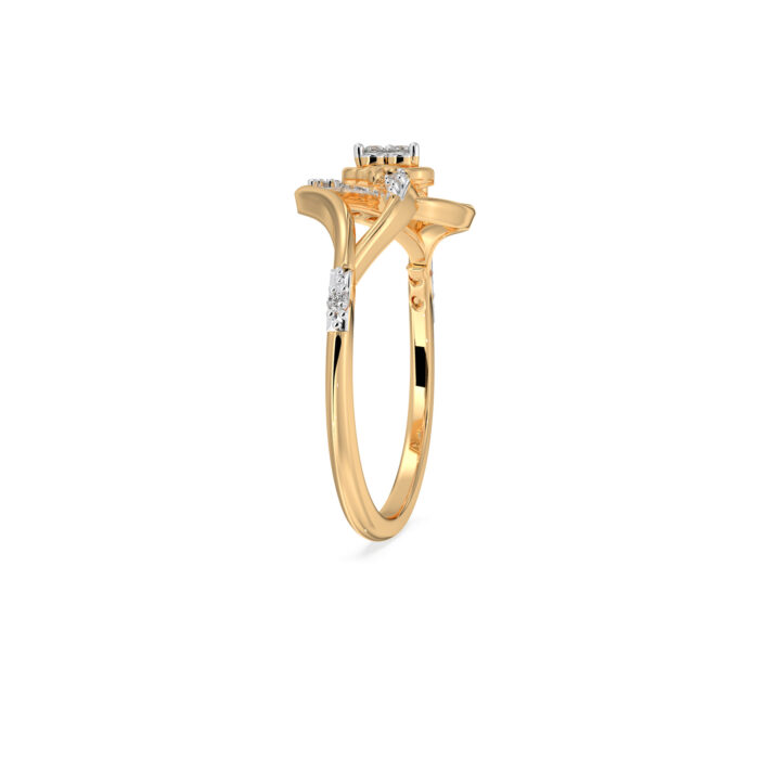 The Sparkova Ring
