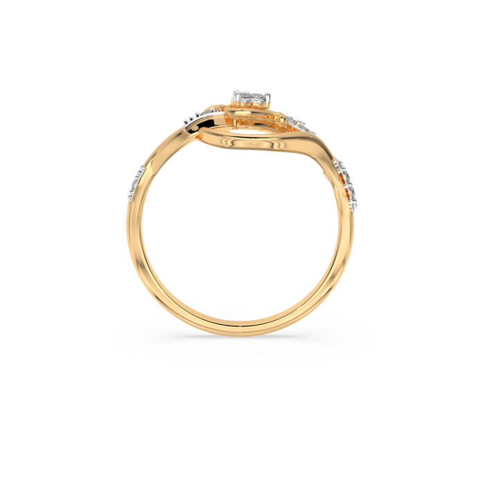 The Sparkova Ring