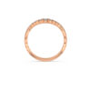 The Aurixa Ring