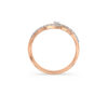 The Shaivyra Ring
