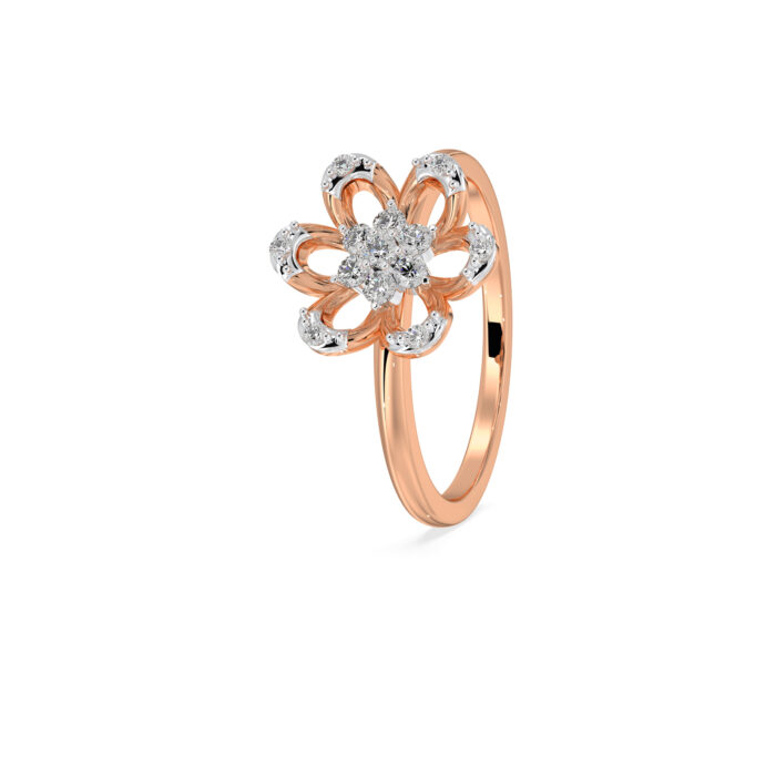 The Rajvini Ring