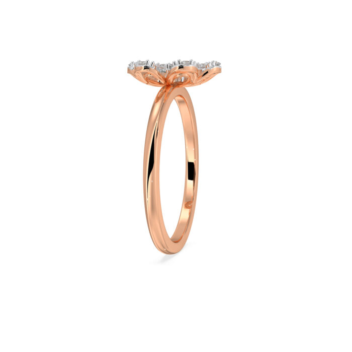 The Rajvini Ring