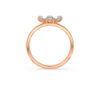 The Rajvini Ring