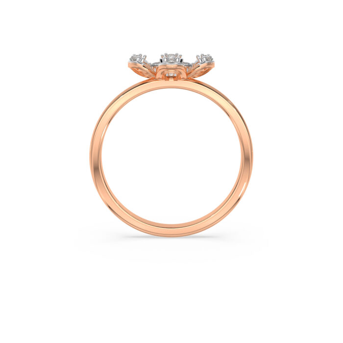 The Rajvini Ring
