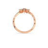 The Dazelle Ring
