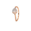 The Florynna Ring