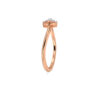 The Florynna Ring