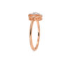 The Ishwari Spark Ring